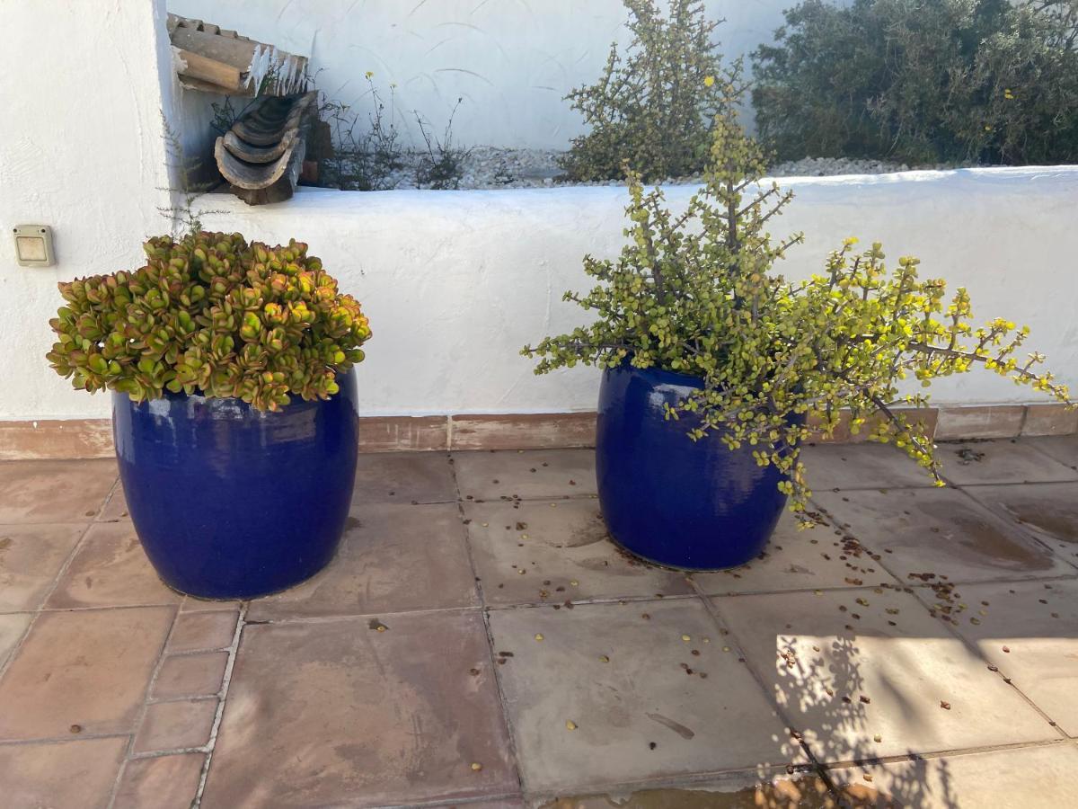 Javea Villa Entiere Piscine Et Cuisine D'Ete A Pinosol Exterior foto